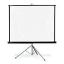 Lightwave LW EPS-240E Projector Screen