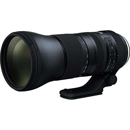 Tamron 150-600mm G2 Lens